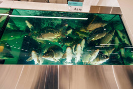 Открытие нового ТРЦ «КЛАСС» – вызвало большой ажиотаж