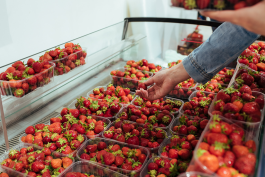 Клубника FEST в КЛАСС проходит весело и вкусно!