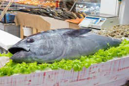 Обновленный КЛАСС для вас!