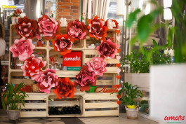 Рестораны Amato